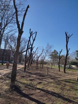 Прикрепленное изображение: 3.jpg